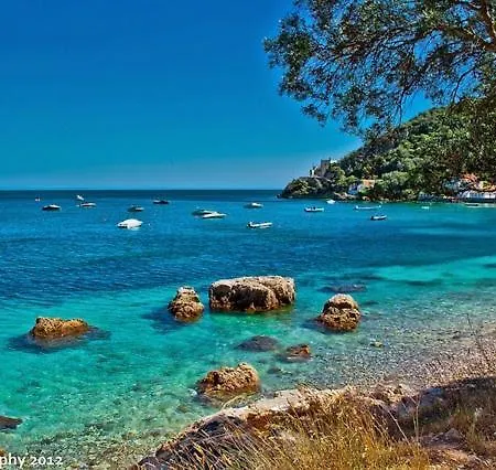 Janota Week With Pool فيلة *